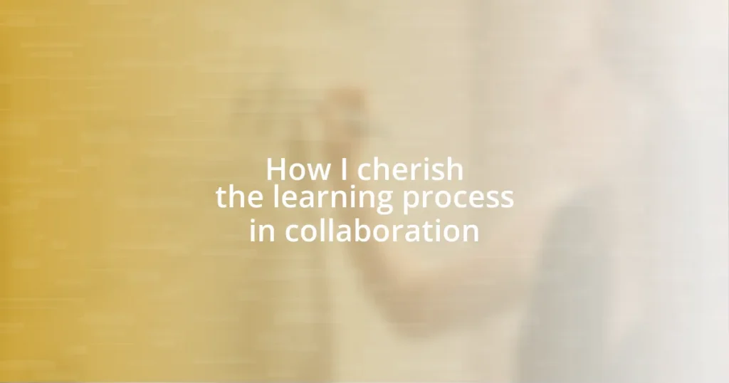 How I cherish the learning process in collaboration