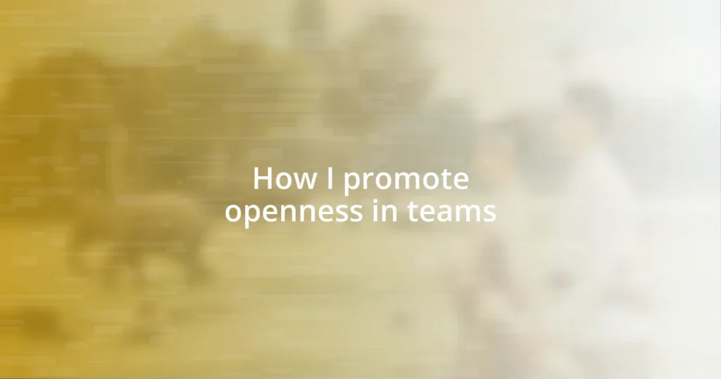 How I promote openness in teams