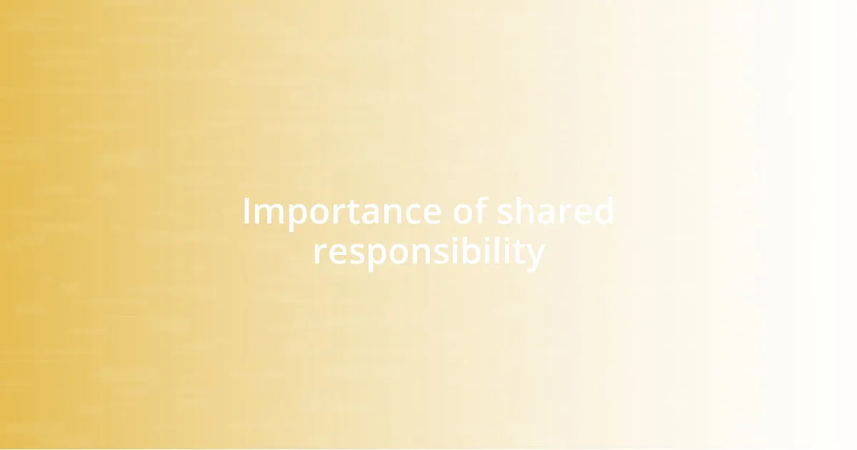 Importance of shared responsibility