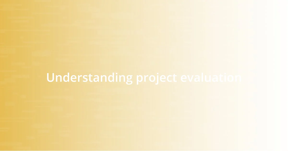 Understanding project evaluation