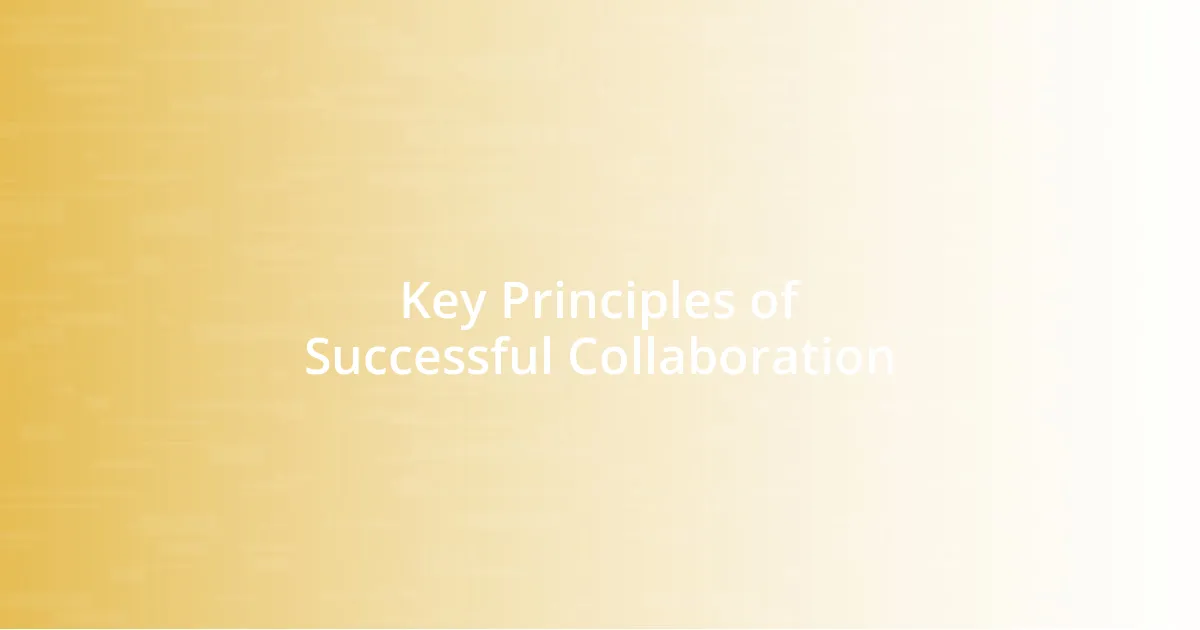 Key Principles of Successful Collaboration